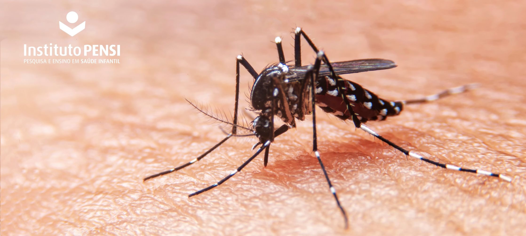 Dengue: o que você precisa saber