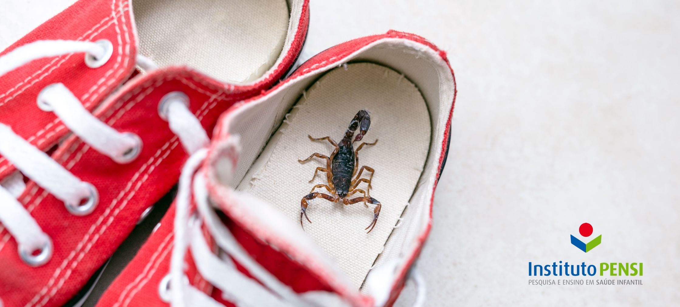 Tome cuidado com os escorpiões!