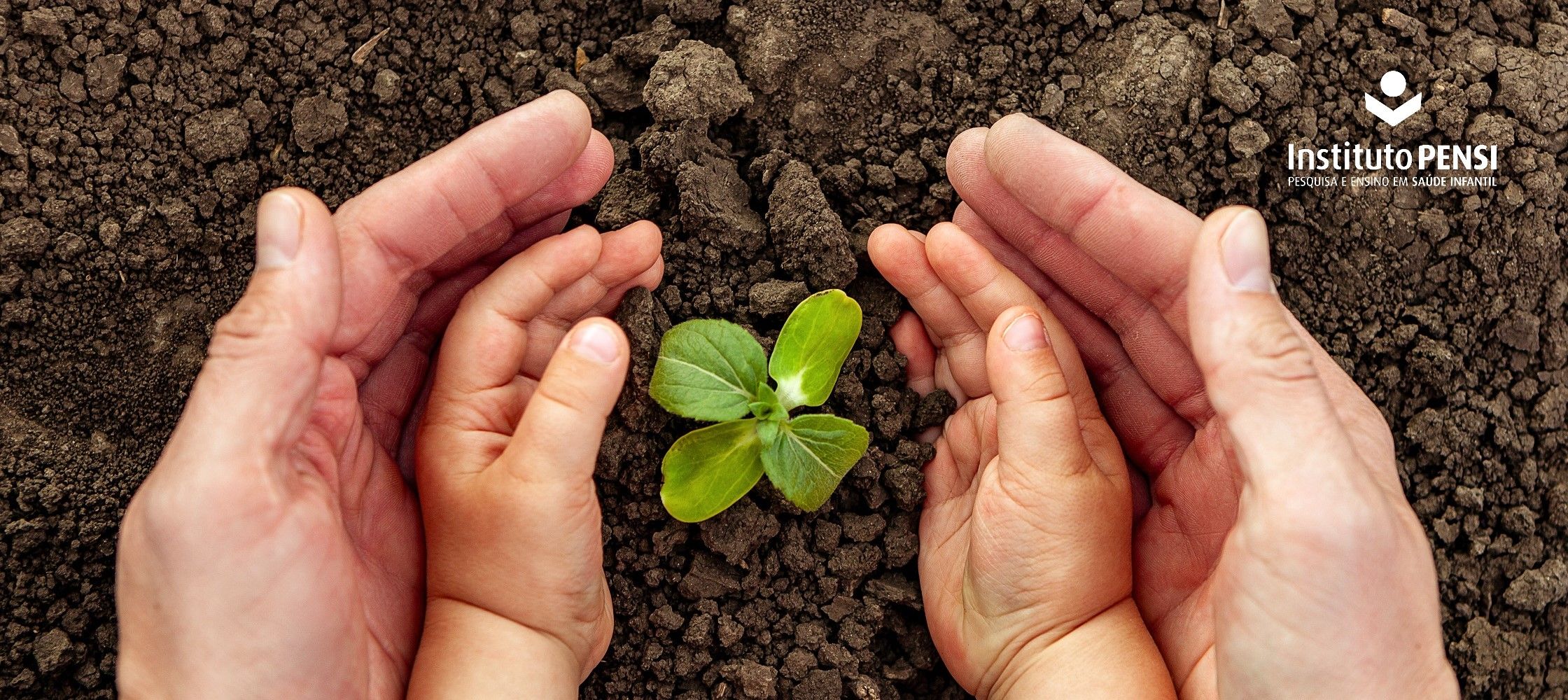 “Healing Trees” ou árvores que curam