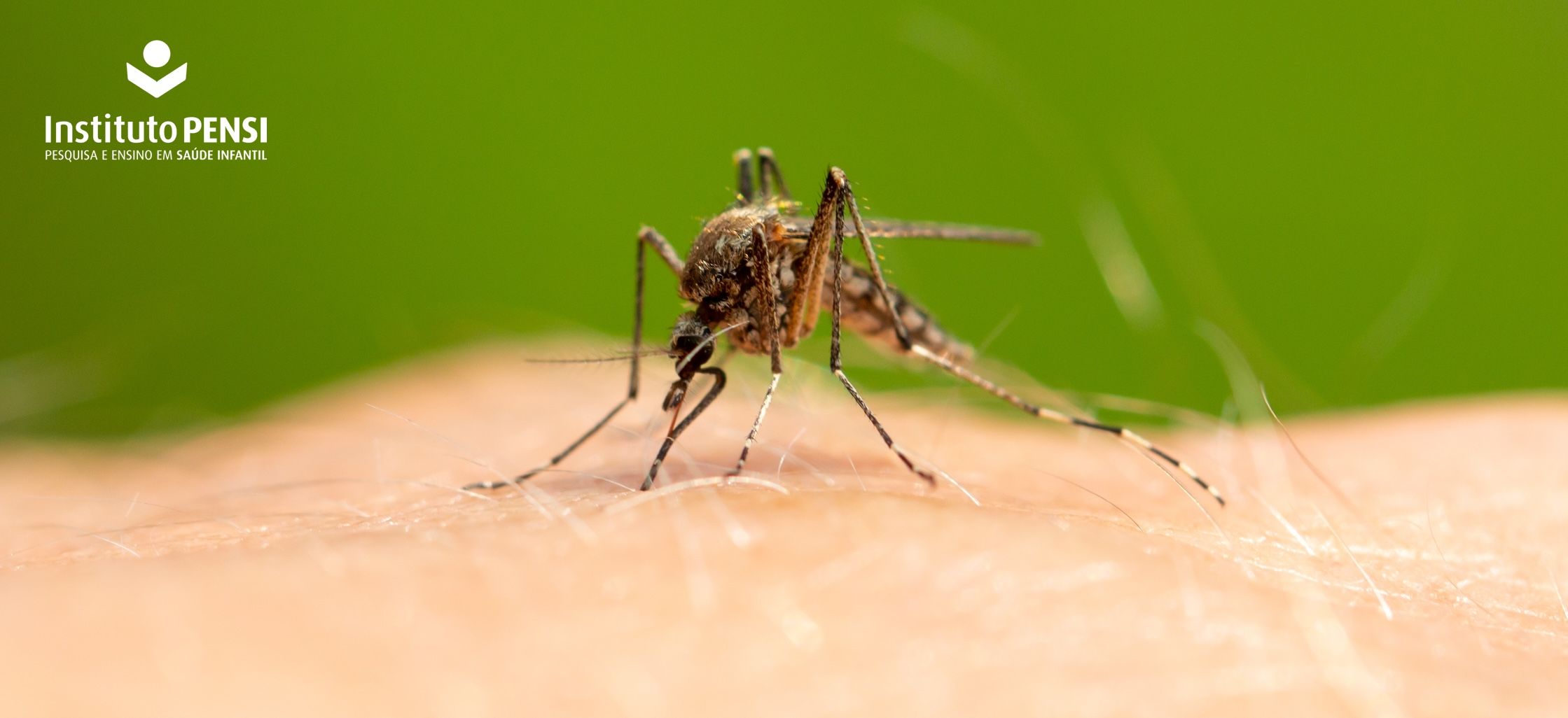 Malária, próximo do fim?