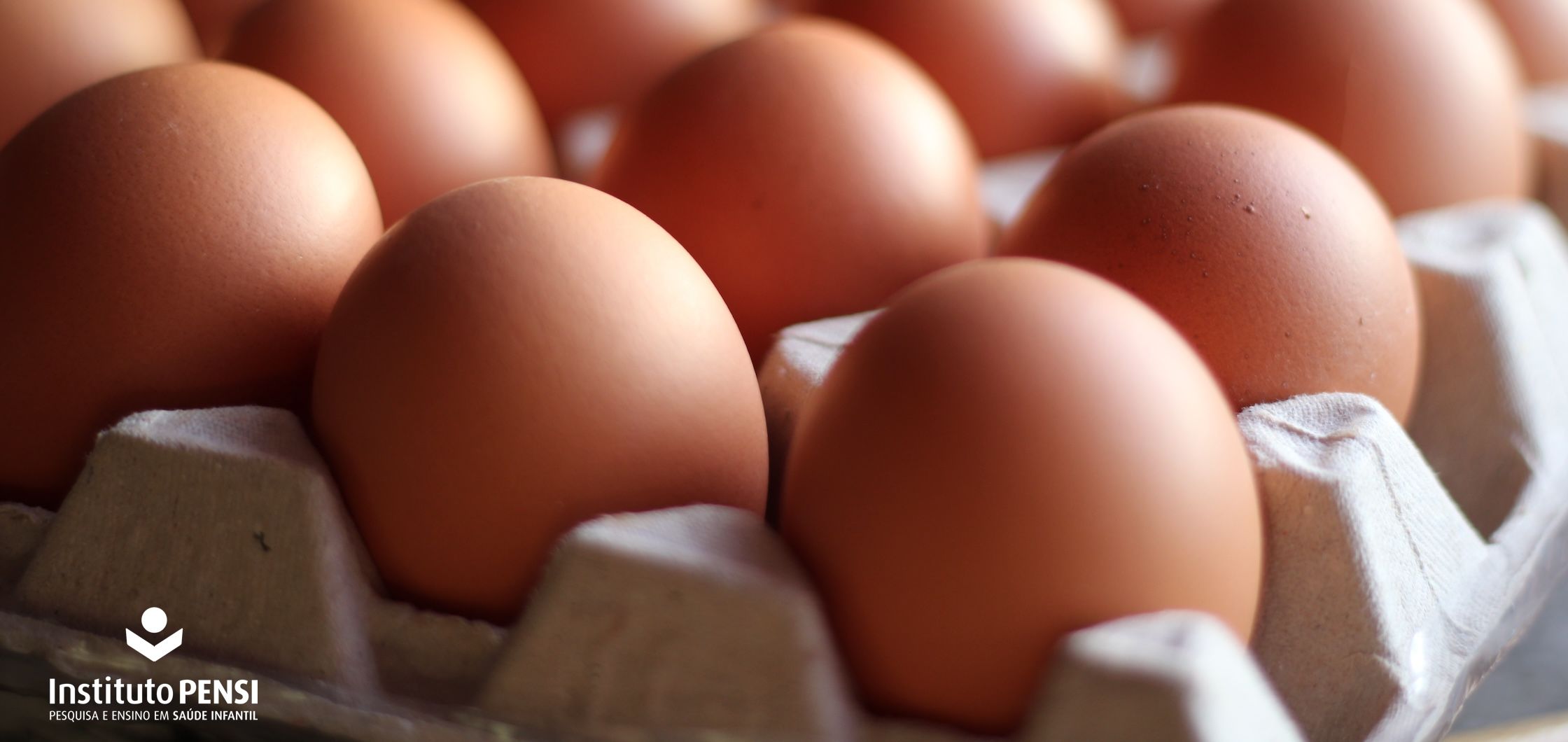 Tudo sobre ovos