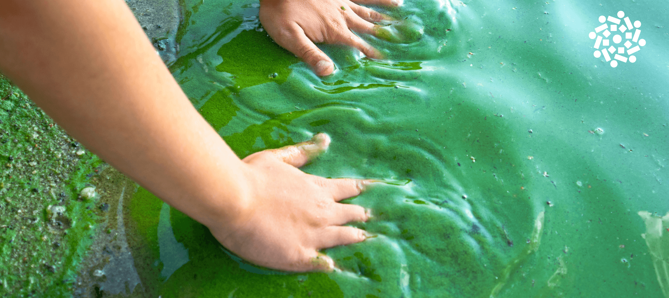 Poluição e saúde infantil: por que as crianças precisam de um ambiente limpo
