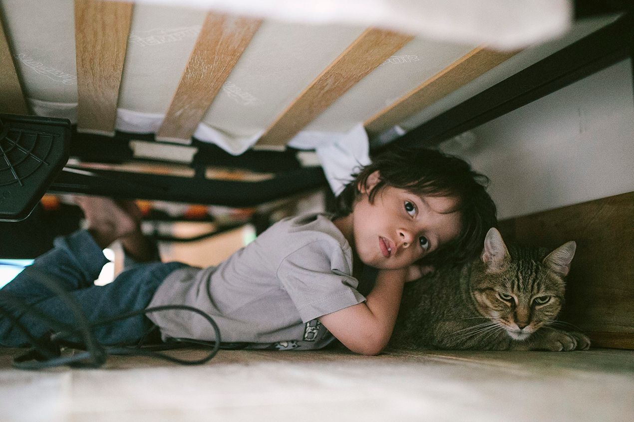 Um gato chamado Schrödinger e o menino David