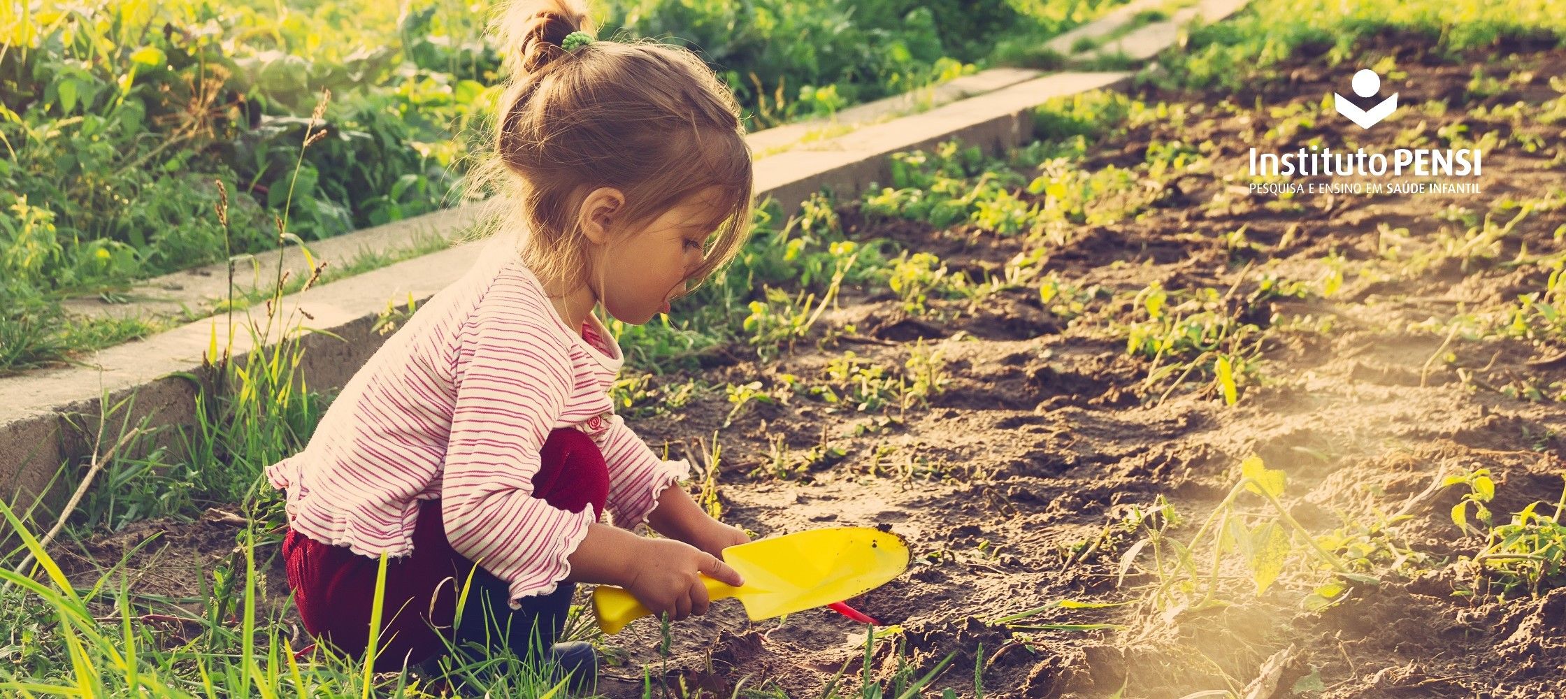 Febre maculosa em crianças