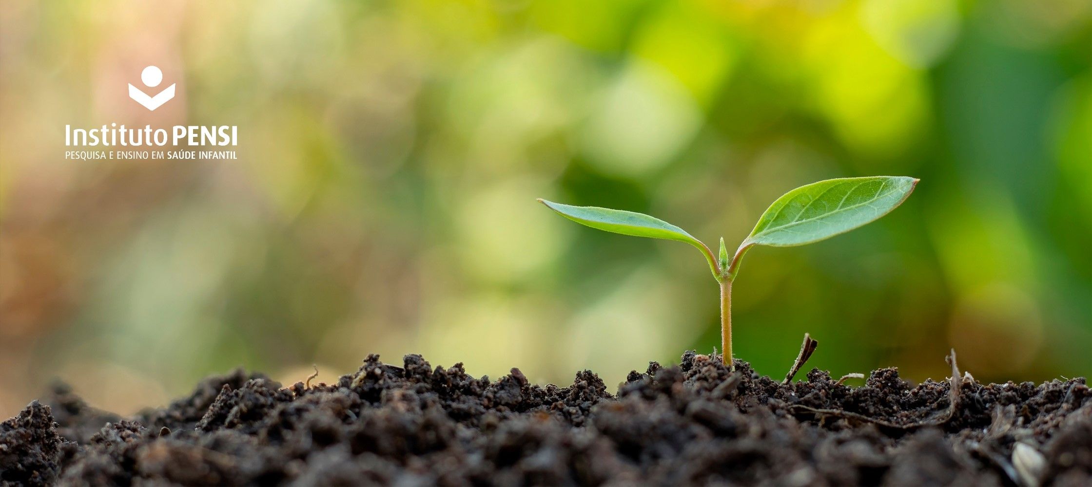 Um memorial para as crianças vítimas de covid-19