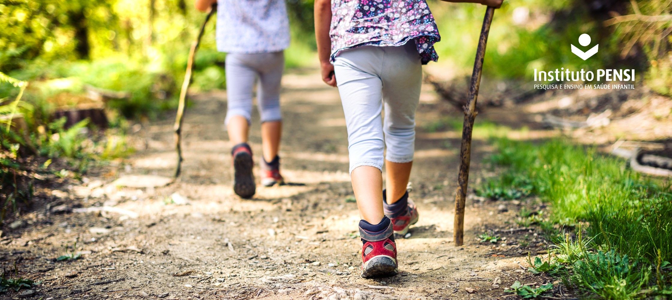 Cuidado com as picadas de cobras e serpentes